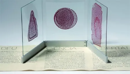 Illustriertes Buch Fontcuberta - Deu, ciència i llibertat