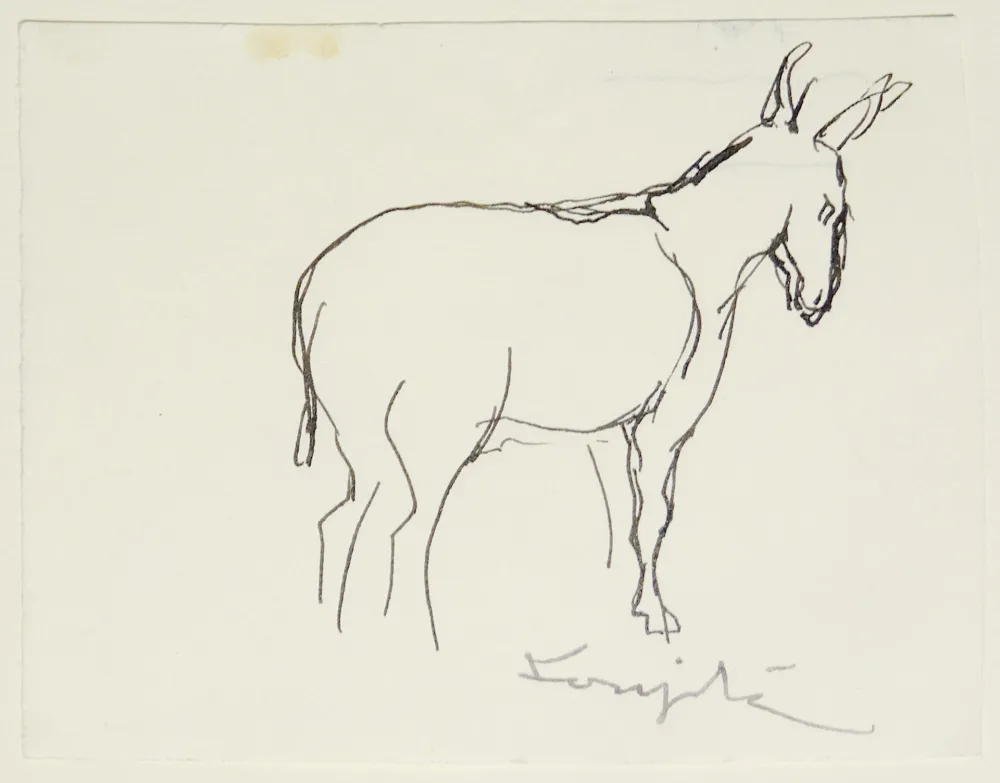 Keine Technische Foujita - L'âne