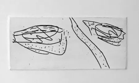 Aquatinta Francis - Self Portrait