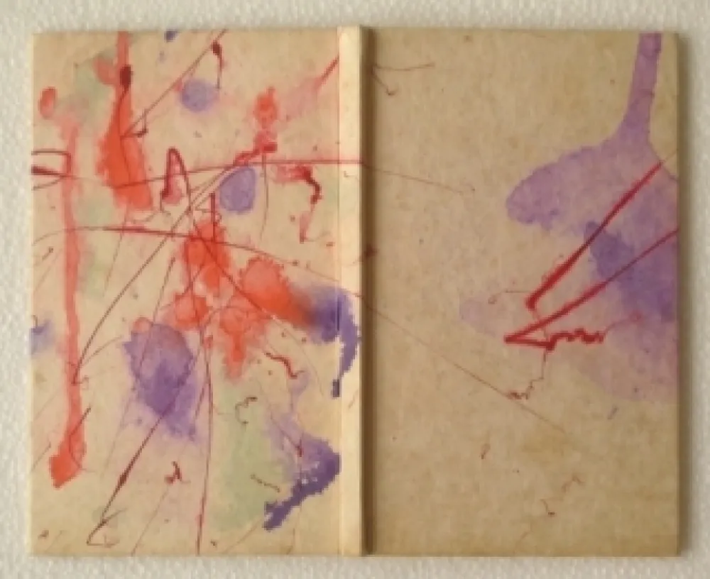 Illustriertes Buch Francis - YEA