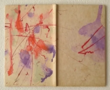 Illustriertes Buch Francis - YEA