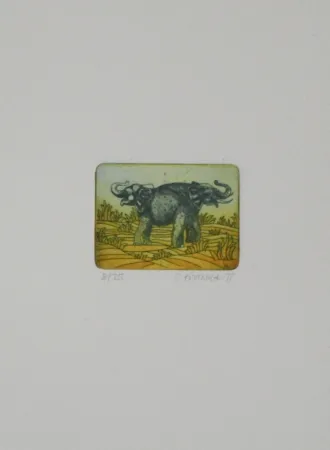 Radierung Und Aquatinta Franke - Elefanten