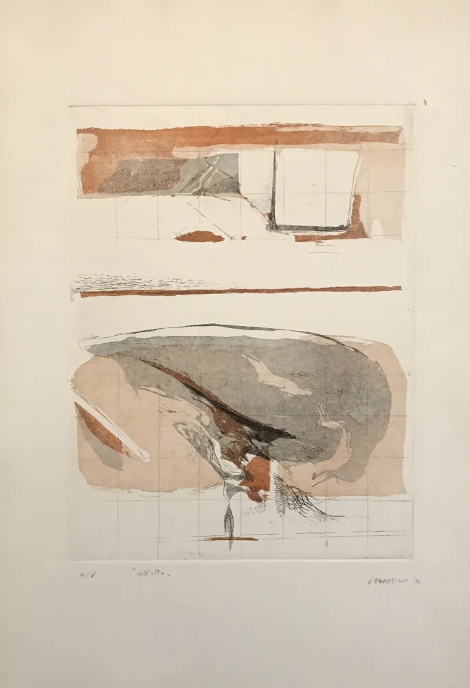 Radierung Und Aquatinta Frattini - Dall'alto