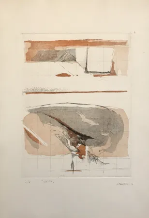 Radierung Und Aquatinta Frattini - Dall'alto