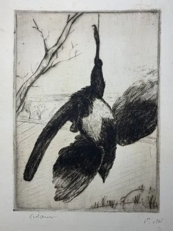 Radierung Frélaut - La pie morte