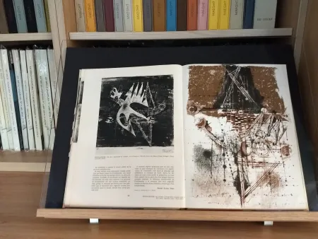 Illustriertes Buch Friedlaender - No 40