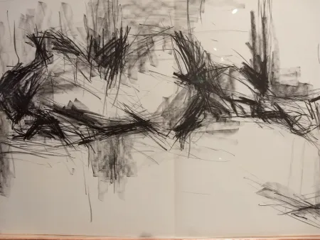 Illustriertes Buch Fromanger - DLM 150