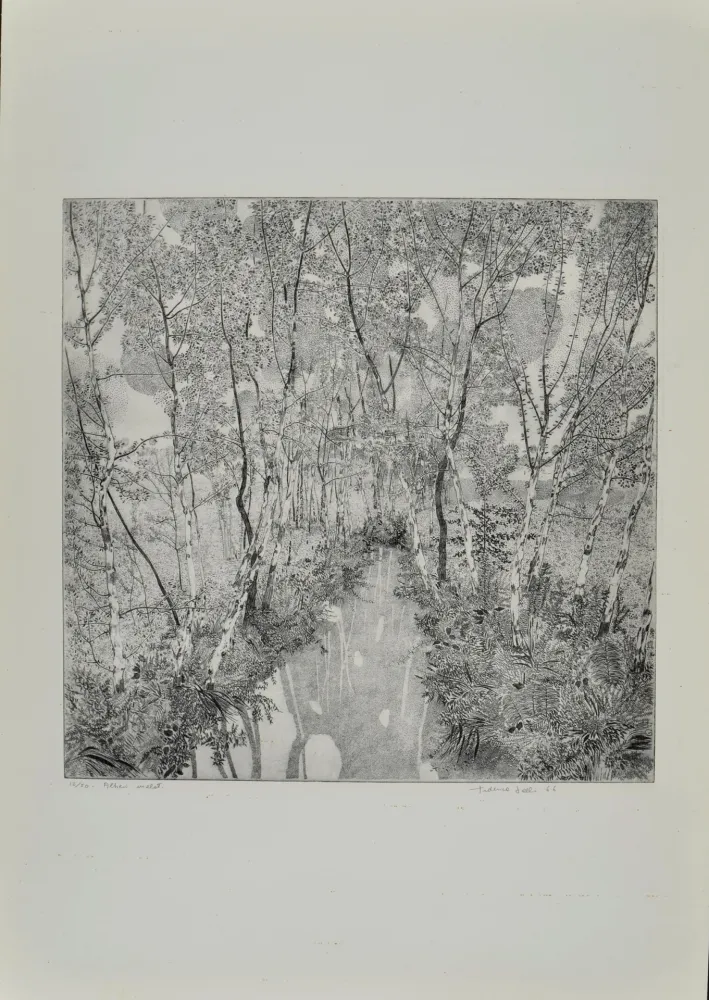 Radierung Galli - Alberi malati