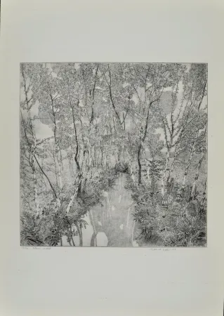 Radierung Galli - Alberi malati