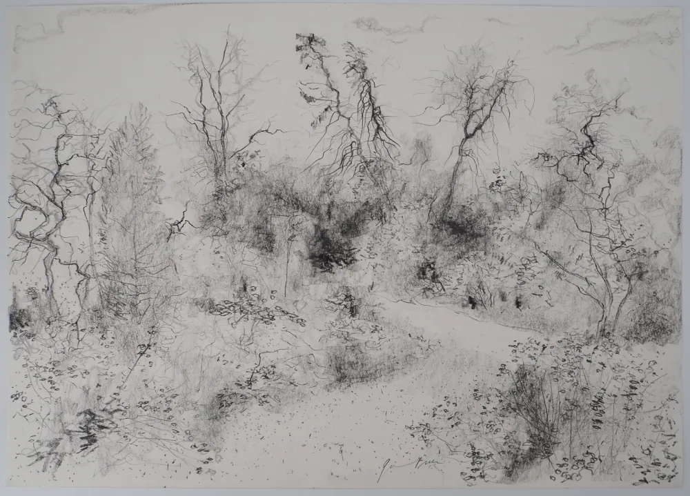 Keine Technische Gantner - Jardin au printemps, 