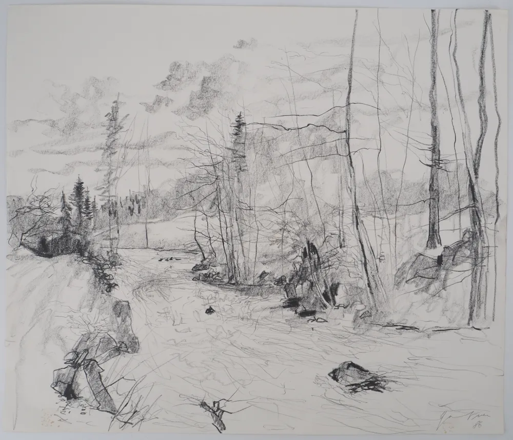 Keine Technische Gantner - Torrent dans les Vosges