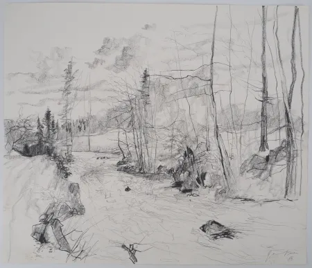 Keine Technische Gantner - Torrent dans les Vosges