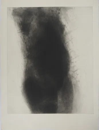 Stich Garache - Torse fémini