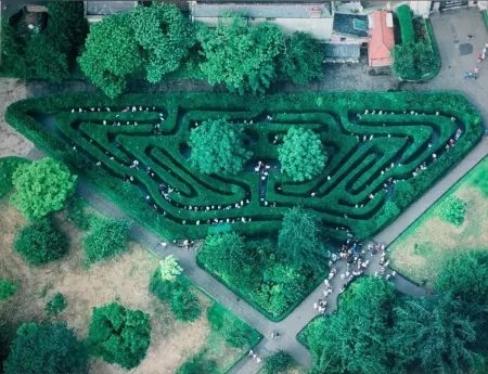Fotografie Gerster -  Heckenlabyrinth, Hampton Court, UK, 1984. 