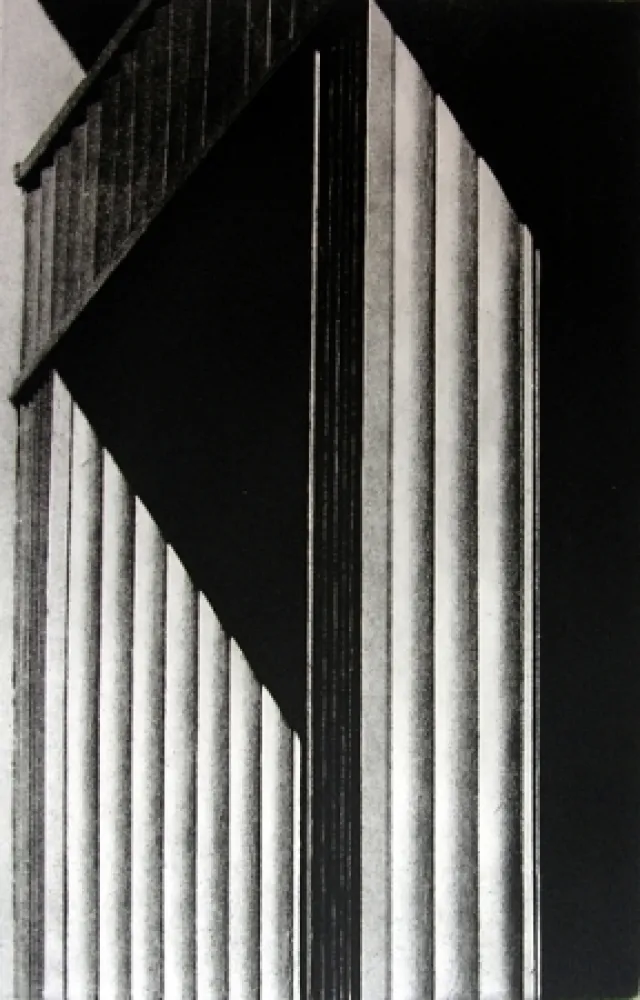 Illustriertes Buch Gibson - Metafora