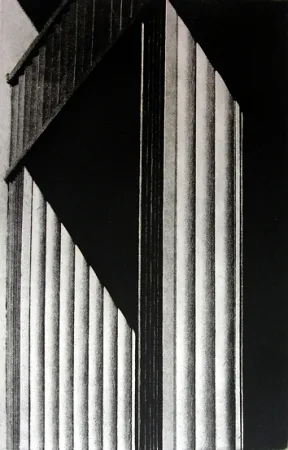 Illustriertes Buch Gibson - Metafora