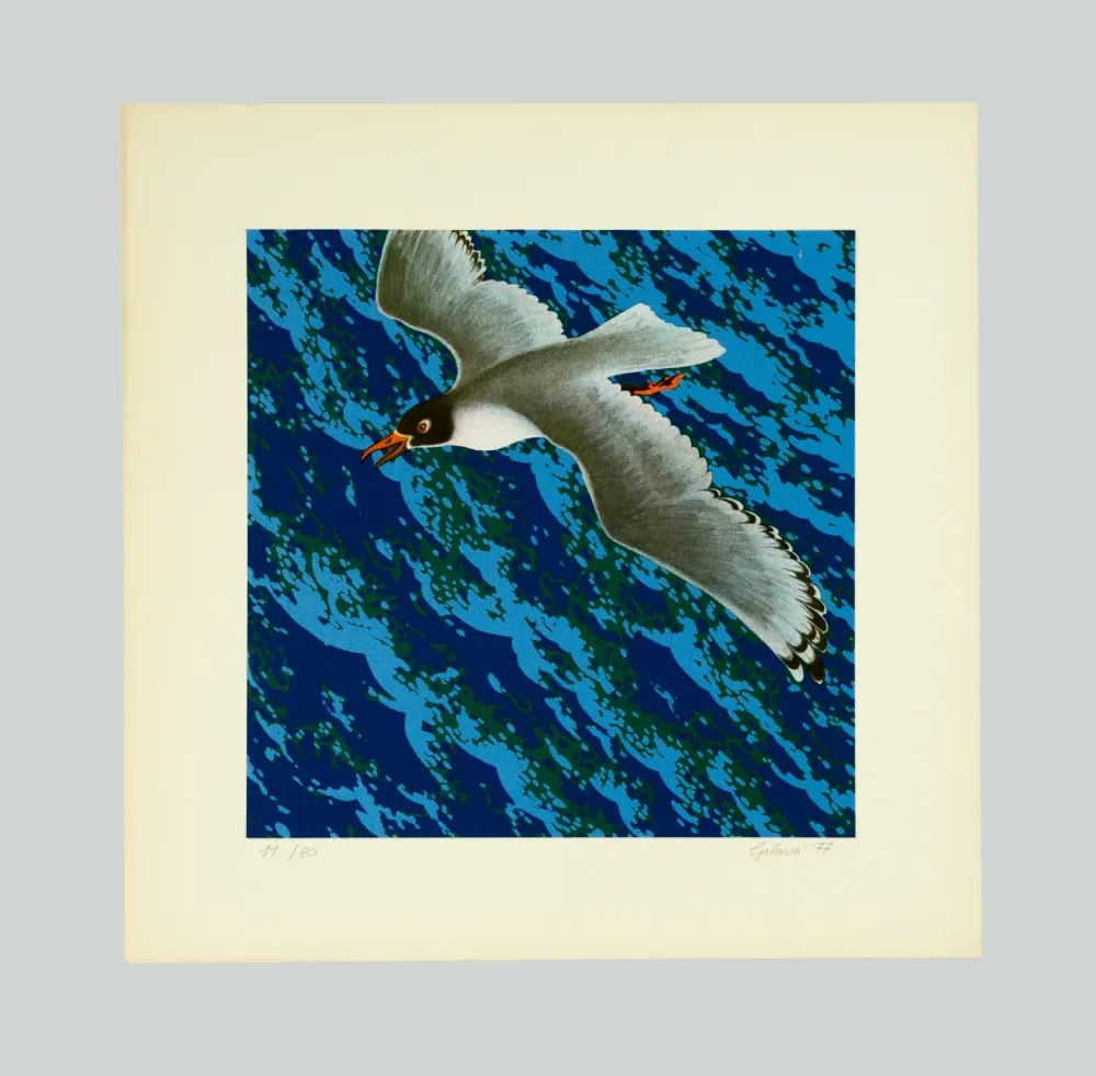 Siebdruck Gilardi - Gabbiano