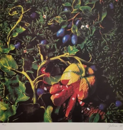 Siebdruck Gilardi - Prugne con zucca