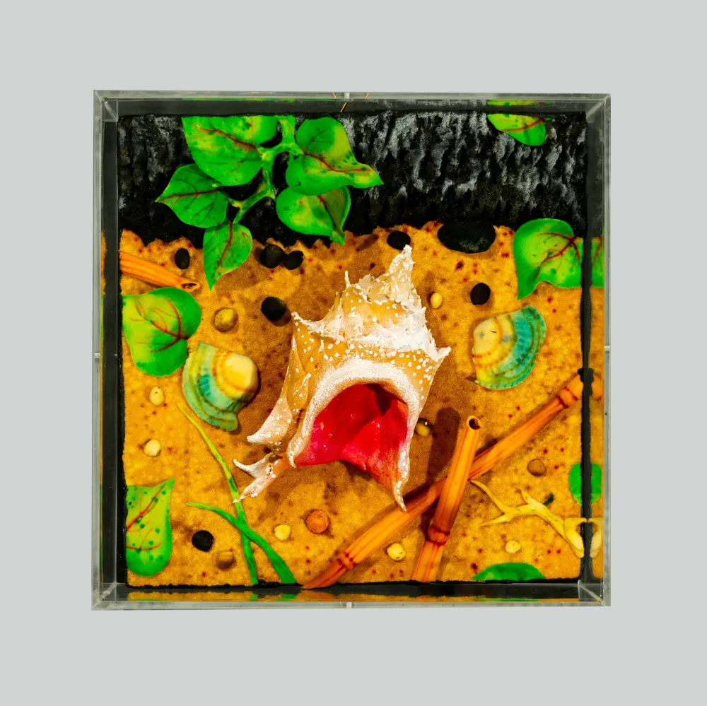 Keine Technische Gilardi - Spiaggia vulcanica