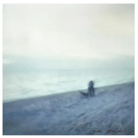 Multiple Goldin - Memory Lost Sirens