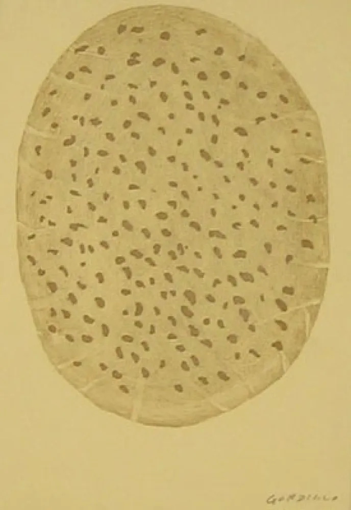 Radierung Gordillo - S/T