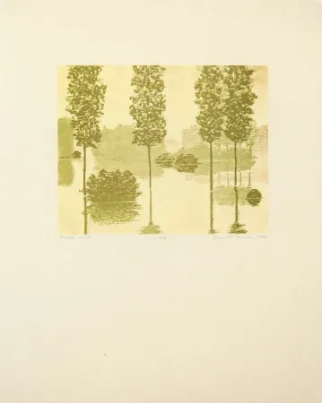 Hochdruck Gornick - Flood Light, from Art Pro-Choice II