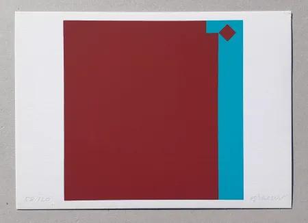 Siebdruck Graeser - Caput Mortuum - Violett Grun 7:1