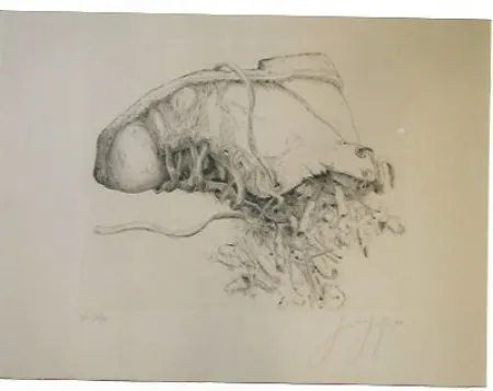 Stich Grass - Kippen and Schun