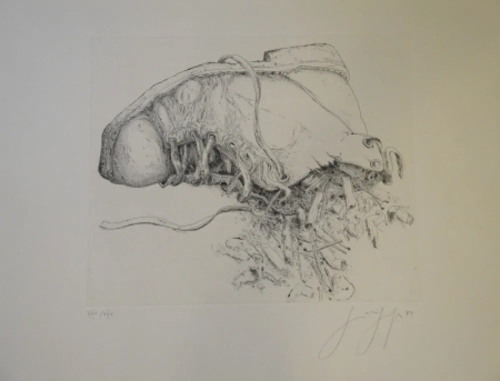 Stich Grass - (Kippen und Schuh)