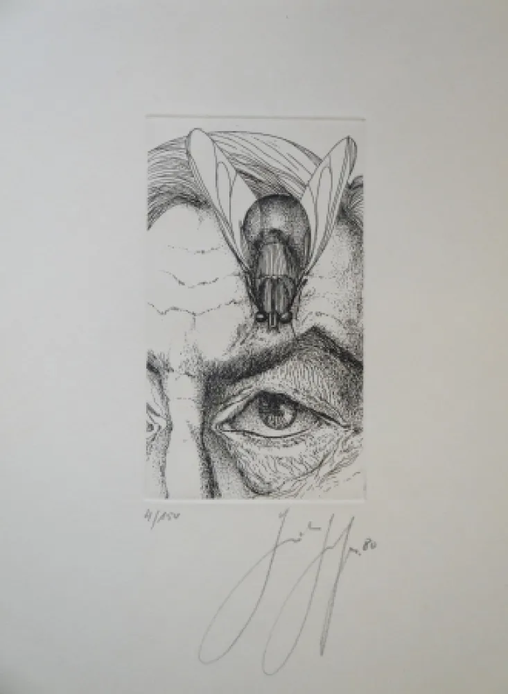 Stich Grass - Selbstporträt mit Fliege