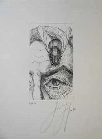 Stich Grass - Selbstporträt mit Fliege