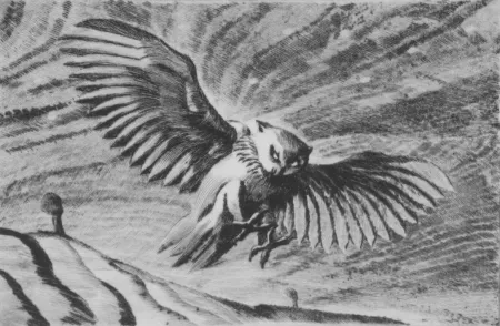 Kaltnadelradierung Grasselli - Verso la notte