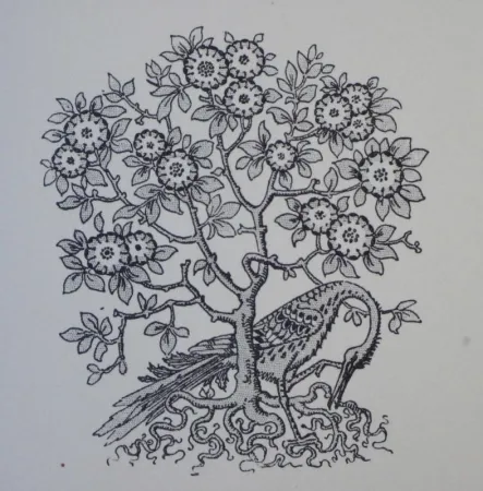 Holzschnitt Grasset - Ornements typographiques