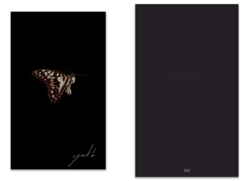 Illustriertes Buch Greaud - L'art en écrit