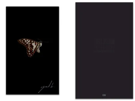 Illustriertes Buch Greaud - L'art en écrit