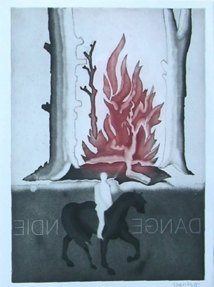 Illustriertes Buch Guarienti - Crachefeu