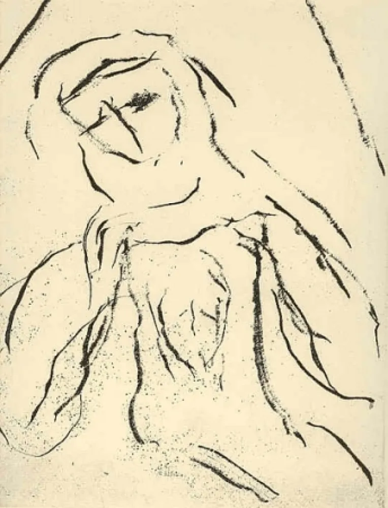 Illustriertes Buch Guidi - Le voile de Véronique