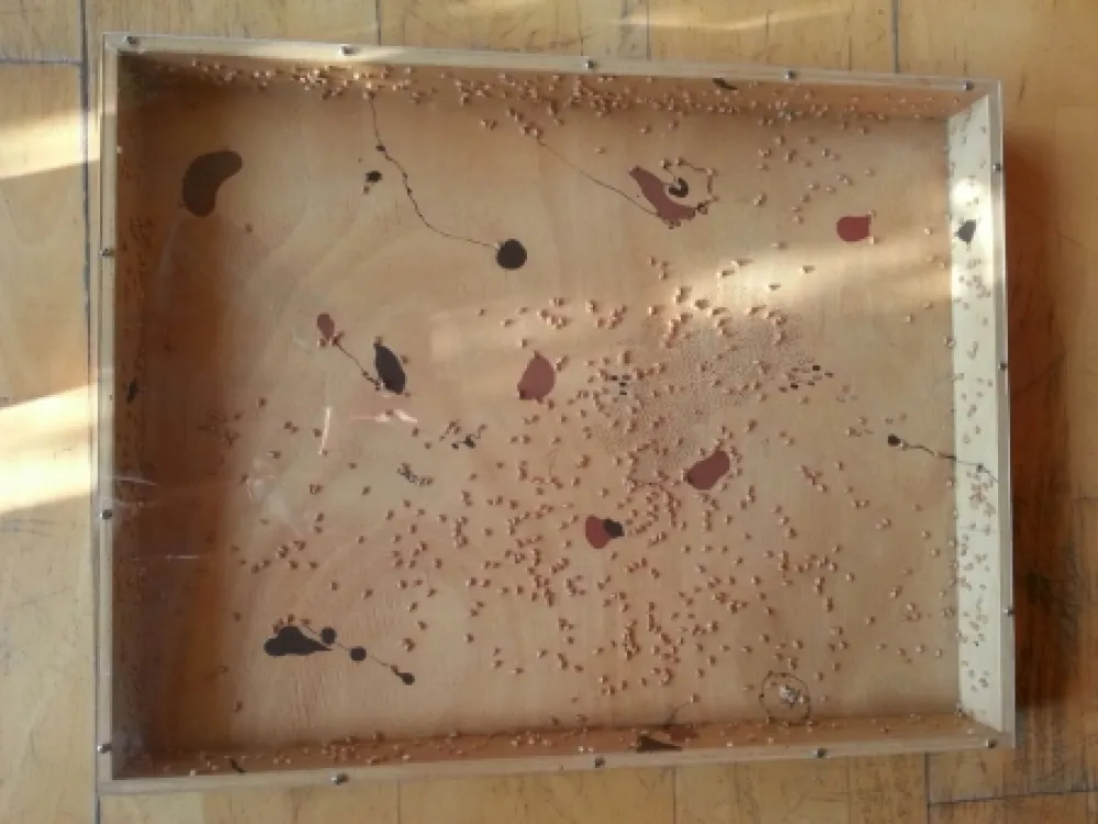 Keine Technische Guinovart - Blat i coses 8