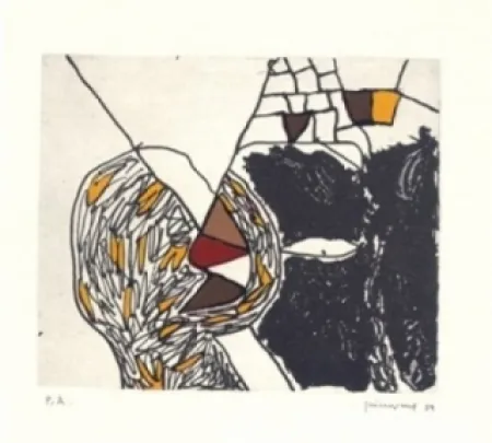 Stich Guinovart - Des de loca-marge