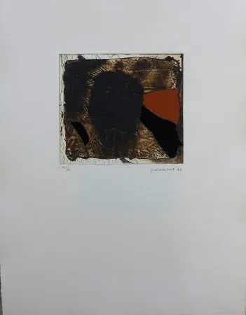 Stich Guinovart - Fons