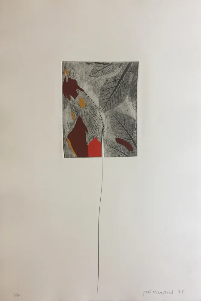 Stich Guinovart - Fulles 3