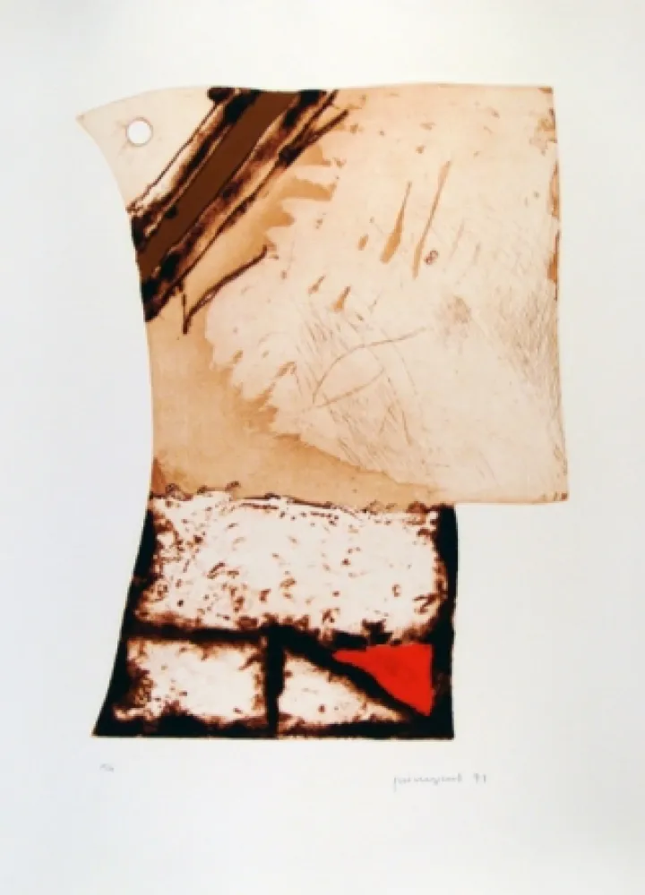 Radierung Guinovart - Imatges i Terra III