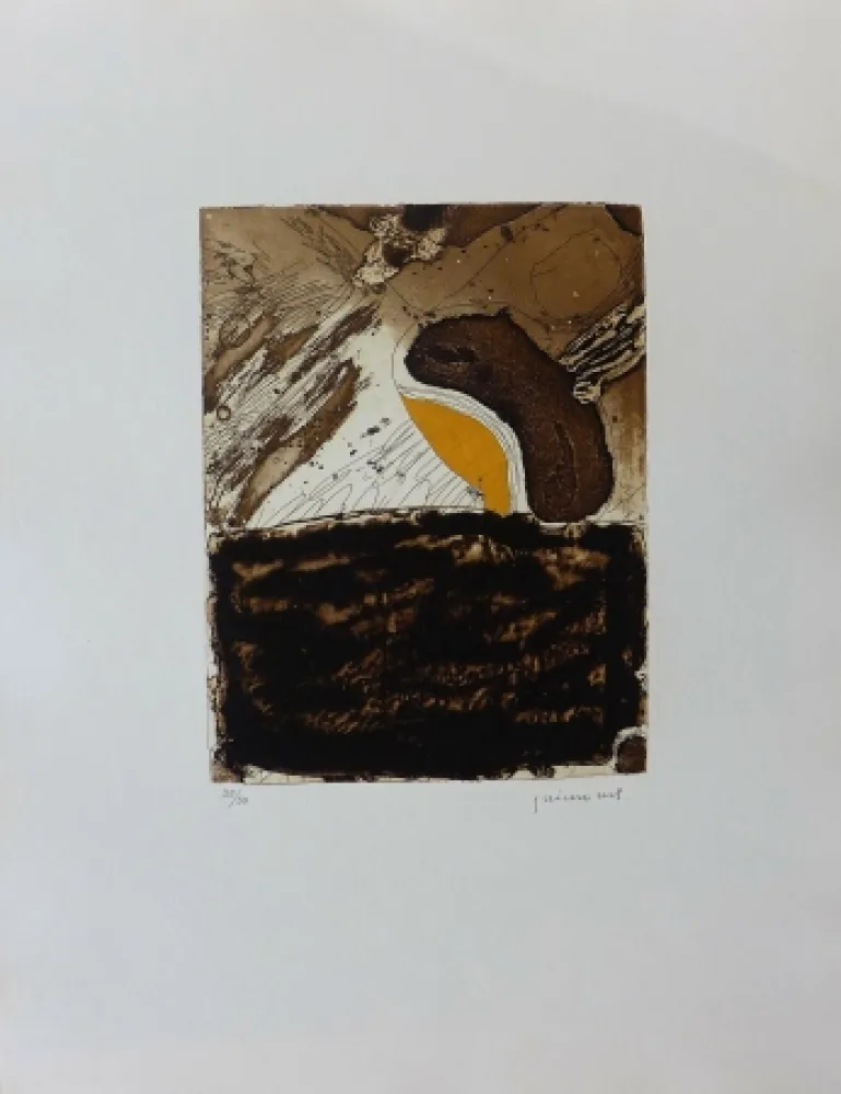 Stich Guinovart - L ultime ocre