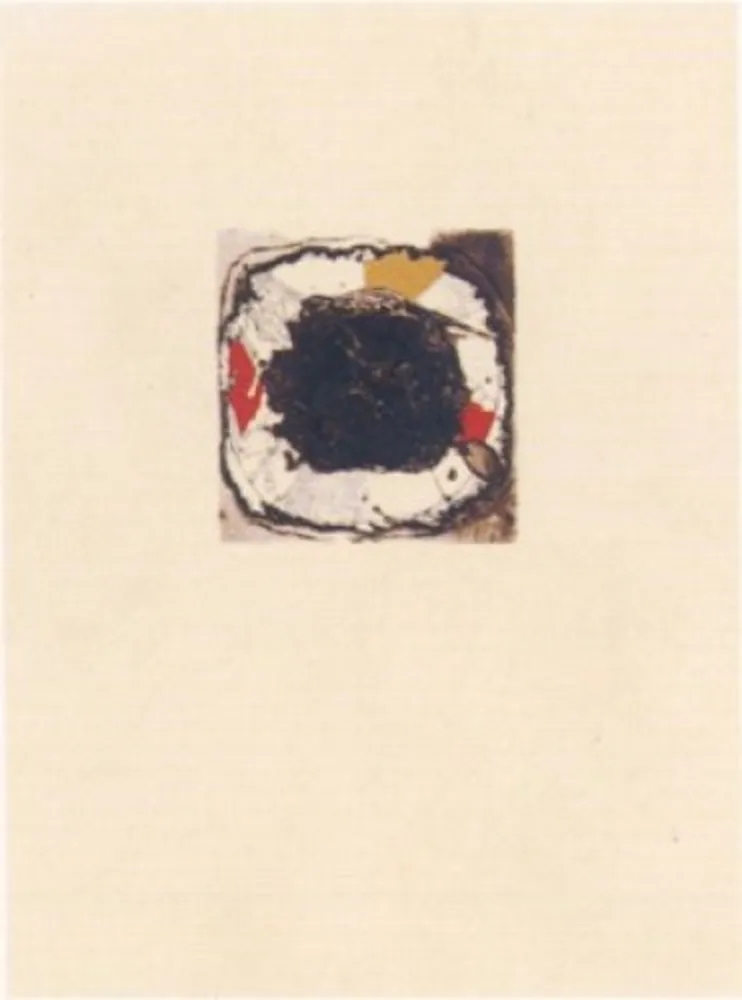 Stich Guinovart - La magrana 4