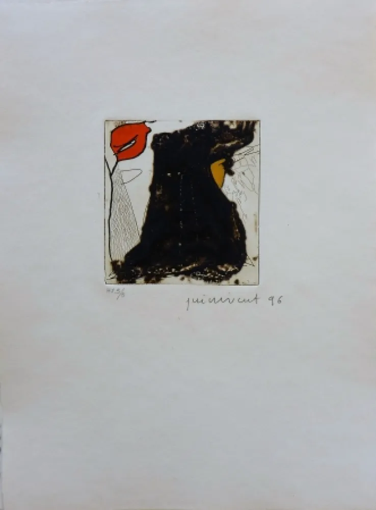 Stich Guinovart - La Magrana 7