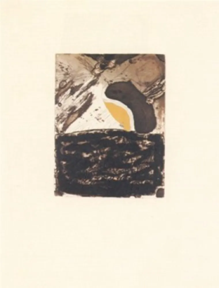 Stich Guinovart - L'últim ocre