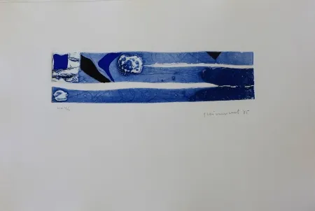 Stich Guinovart - Mare nostrum 17