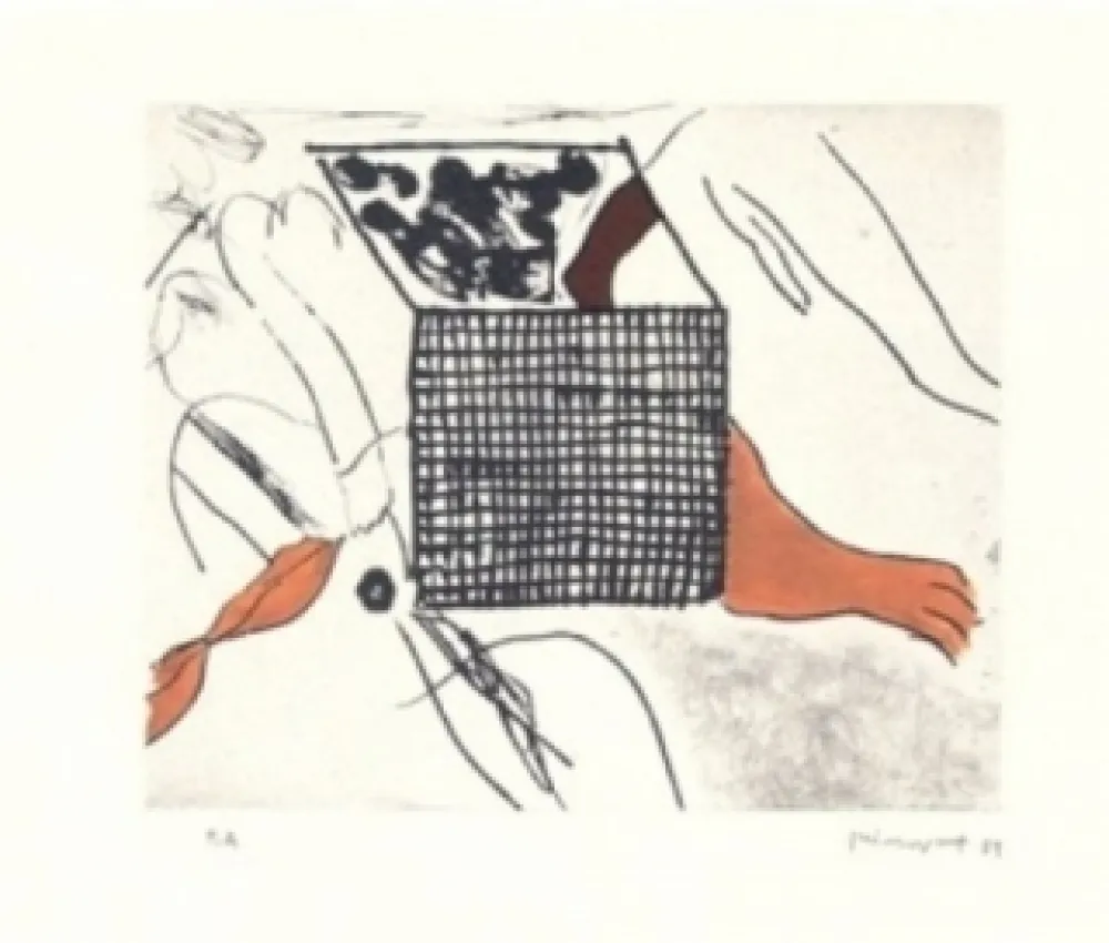 Stich Guinovart - Sortides