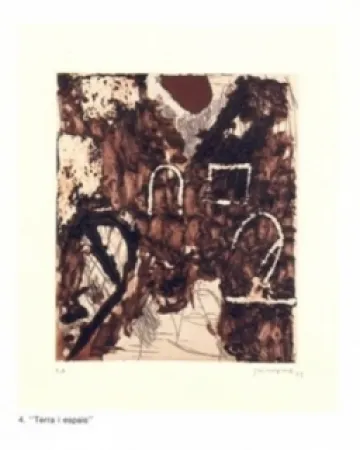 Stich Guinovart - Terra i espais