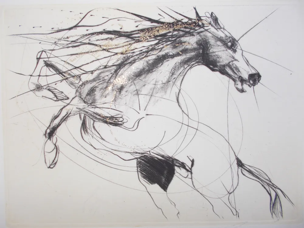 Stich Guiny - Etalon III